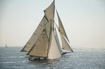 Les Régates Royales 2004. © Philip Plisson / Plisson La Trinité / AA08495 - Photo Galleries - Classic Yachting