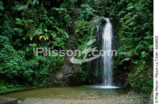 La cascade du Saut du Gendarme à la Martinique. - © Philip Plisson / Plisson La Trinité / AA08503 - Photo Galleries - West indies [The]