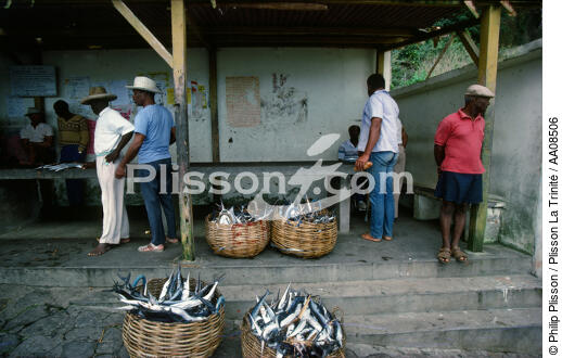 Retour de pêche à Grand Rivière. - © Philip Plisson / Plisson La Trinité / AA08506 - Nos reportages photos - Martinique [la]