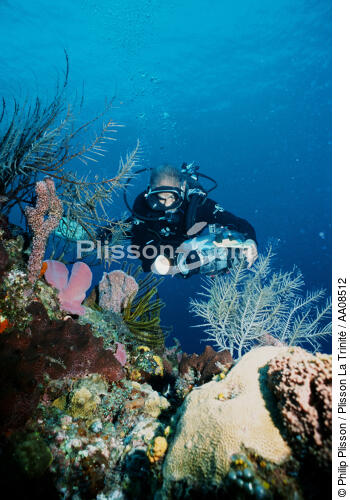 En plongée avec Albert Falco. - © Philip Plisson / Plisson La Trinité / AA08512 - Nos reportages photos - Type vue