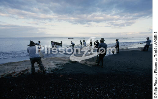 Pêche à la senne au Carbet. - © Philip Plisson / Plisson La Trinité / AA08513 - Photo Galleries - Fishing equipment