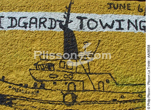 Inscription dans le bassin de radoub du port de Fort-de-France. - © Philip Plisson / Plisson La Trinité / AA08558 - Nos reportages photos - Antilles [Les]