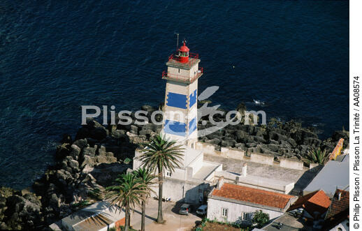Le phare de Santa Marta au Portugal. - © Philip Plisson / Plisson La Trinité / AA08574 - Photo Galleries - Palm tree