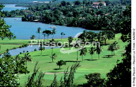Le golf des 3 Ilets à la Martinique. - © Philip Plisson / Plisson La Trinité / AA08612 - Photo Galleries - Palm tree