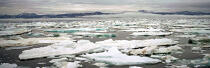 La baie d'Is en Norvège. © Philip Plisson / Plisson La Trinité / AA08617 - Photo Galleries - Spitzberg