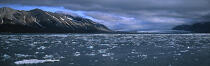 La baie d'Is en Norvège. © Philip Plisson / Plisson La Trinité / AA08618 - Photo Galleries - Spitzberg