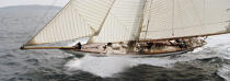 Mariquita pendant les Voiles de St Tropez 2004. © Philip Plisson / Plisson La Trinité / AA08640 - Photo Galleries - Classic Yachting