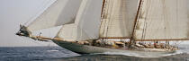 Eleonora pendant les Voiles de St Tropez 2004. © Philip Plisson / Plisson La Trinité / AA08643 - Photo Galleries - Classic Yachting