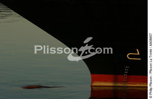 L'étrave ou les secrets d'une dévoreuse de milles. - © Philip Plisson / Plisson La Trinité / AA08657 - Photo Galleries - Elements of boat