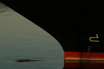 L'étrave ou les secrets d'une dévoreuse de milles. © Philip Plisson / Plisson La Trinité / AA08657 - Nos reportages photos - Elément d'un bateau