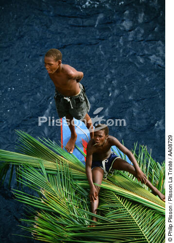Transport de palmes de coco sur une barque. - © Philip Plisson / Plisson La Trinité / AA08729 - Photo Galleries - Coconut palm