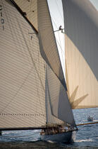 Mariquita aux Régates Royales. © Philip Plisson / Plisson La Trinité / AA08743 - Photo Galleries - Classic Yachting