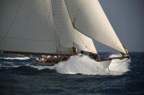 Mariquita aux Régates Royales. © Philip Plisson / Plisson La Trinité / AA08746 - Photo Galleries - Classic Yachting
