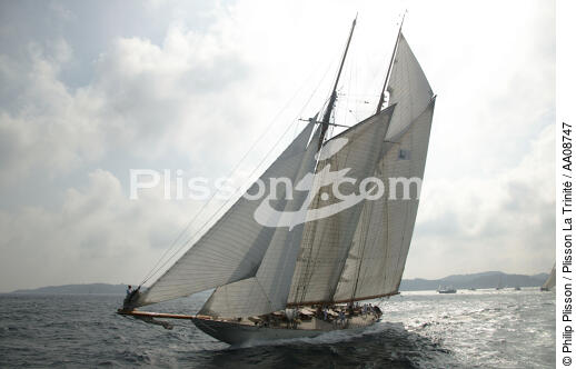 Eleonora aux Voiles de St Tropez.. - © Philip Plisson / Plisson La Trinité / AA08747 - Photo Galleries - Classic Yachting
