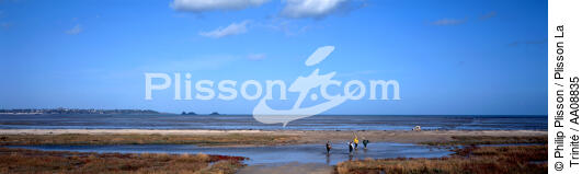 Pêche à pied à Vivier-sur-mer. - © Philip Plisson / Plisson La Trinité / AA08835 - Nos reportages photos - Ille & Vilaine