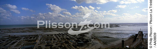 La Baie de Cancale. - © Philip Plisson / Plisson La Trinité / AA08839 - Photo Galleries - Oyster farming