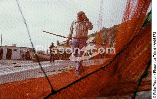 Retour de pêche aux Açores. - © Philip Plisson / Plisson La Trinité / AA08873 - Photo Galleries - Fishing nets