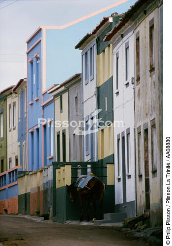 Les Açores. - © Philip Plisson / Plisson La Trinité / AA08880 - Nos reportages photos - Auteur