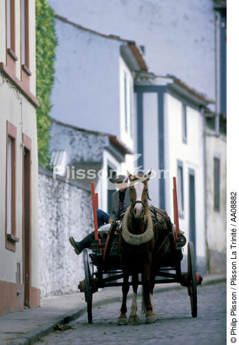 Scène de rue aux Açores. - © Philip Plisson / Plisson La Trinité / AA08882 - Photo Galleries - Keywords