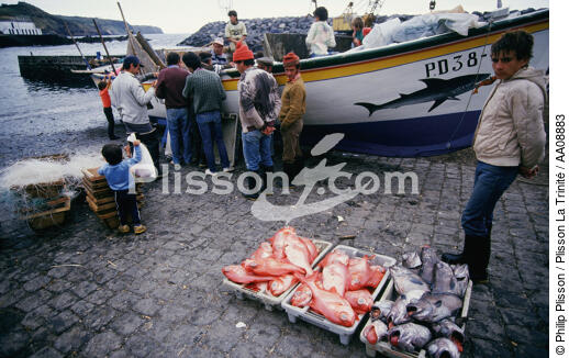 Retour de pêche aux Açores. - © Philip Plisson / Plisson La Trinité / AA08883 - Nos reportages photos - Ile [Por]