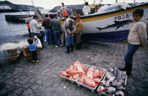 Retour de pêche aux Açores. © Philip Plisson / Plisson La Trinité / AA08883 - Nos reportages photos - Materiel de pêche