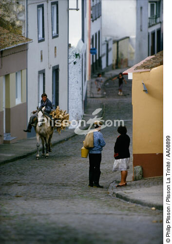 Scène de vie aux Açores. - © Philip Plisson / Plisson La Trinité / AA08899 - Photo Galleries - Sao Miguel