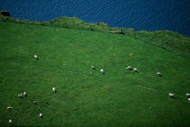 Mooner Bay sur l'île de Skye en Ecosse. © Guillaume Plisson / Plisson La Trinité / AA08947 - Photo Galleries - Island [Scot]