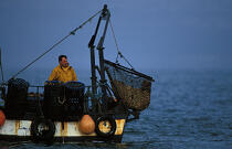 Pêche à la coquille. © Philip Plisson / Plisson La Trinité / AA08954 - Nos reportages photos - Homme