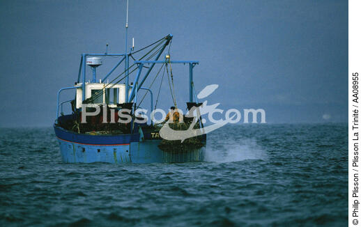 Pêche à la coquille. - © Philip Plisson / Plisson La Trinité / AA08955 - Nos reportages photos - Homme