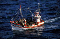 Pêche à la coquille. © Philip Plisson / Plisson La Trinité / AA08957 - Photo Galleries - Keywords