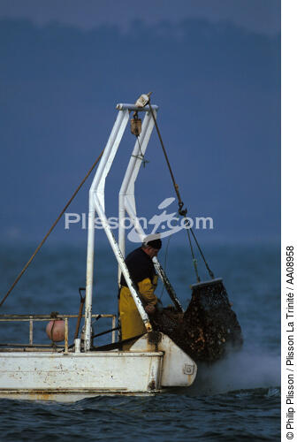 Pêche à la coquille. - © Philip Plisson / Plisson La Trinité / AA08958 - Photo Galleries - Keywords