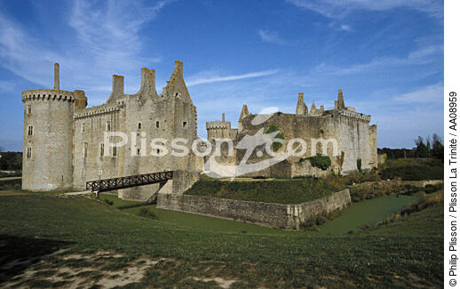 Le château de Suscinio avant sa rénovation. - © Philip Plisson / Plisson La Trinité / AA08959 - Photo Galleries - Castle of Suscinio