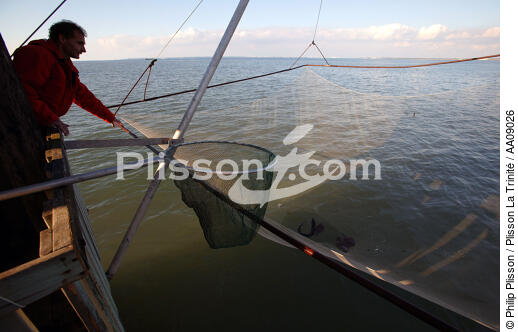 Pêche au carrelet sur la Loire. - © Philip Plisson / Plisson La Trinité / AA09026 - Nos reportages photos - Cabane