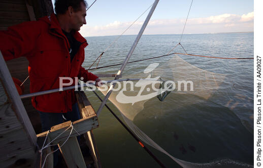 Pêche au carrelet sur la Loire. - © Philip Plisson / Plisson La Trinité / AA09027 - Photo Galleries - Cabin