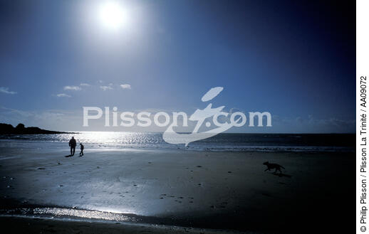 Ballade sur la plage. - © Philip Plisson / Plisson La Trinité / AA09072 - Photo Galleries - Pet