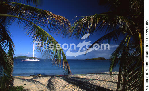 Catamaran aux mouillage aux Antilles. - © Guillaume Plisson / Plisson La Trinité / AA09155 - Photo Galleries - Multihull