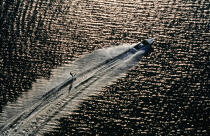Ski nautique. © Philip Plisson / Plisson La Trinité / AA09161 - Photo Galleries - Keywords