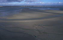 La baie de Somme. © Philip Plisson / Plisson La Trinité / AA09213 - Nos reportages photos - Contre-jour