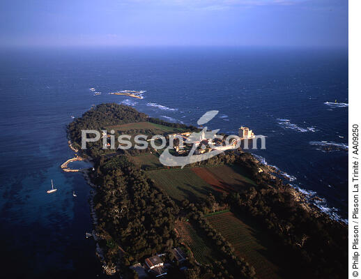 Saint-Honorat l'une des îles de Lérins. - © Philip Plisson / Plisson La Trinité / AA09250 - Photo Galleries - Alpes maritimes