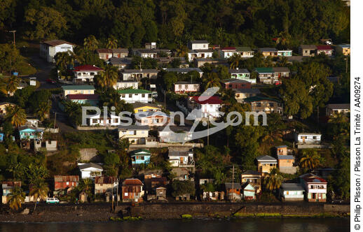 L'île de la Dominique. - © Philip Plisson / Plisson La Trinité / AA09274 - Nos reportages photos - Antilles [Les]