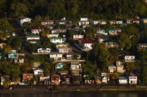 L'île de la Dominique. © Philip Plisson / Plisson La Trinité / AA09274 - Nos reportages photos - Pays étranger