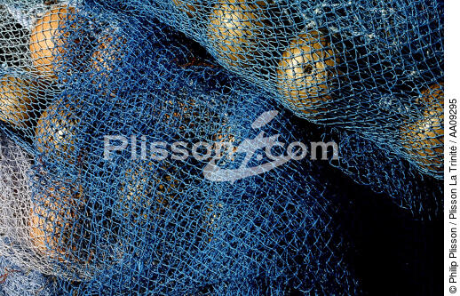 Filet de pêche. - © Philip Plisson / Plisson La Trinité / AA09295 - Photo Galleries - Fishing nets