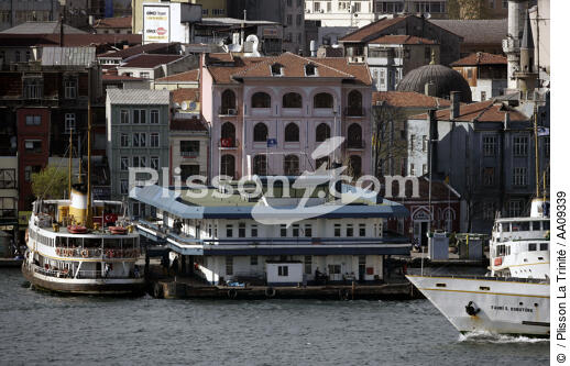 Ferry boat or "Vapurs" on the Bosphorus. - ©  / Plisson La Trinité / AA09339 - Photo Galleries - Site of interest [Turkey]
