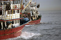Bateau de pêche dans le port d'Istanbul. © Philip Plisson / Plisson La Trinité / AA09397 - Nos reportages photos - Site [Turquie]