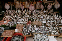 Marché aux poissons à Istanbul. © Philip Plisson / Plisson La Trinité / AA09405 - Nos reportages photos - Site [Turquie]