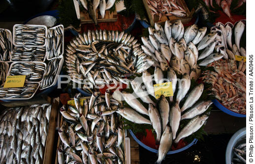 Marché aux poissons à Istanbul. - © Philip Plisson / Plisson La Trinité / AA09406 - Nos reportages photos - Bosphore