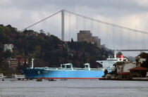 Traffic on the Bosphorus. © Philip Plisson / Plisson La Trinité / AA09416 - Photo Galleries - Bosphorus