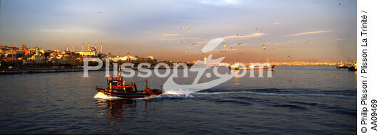 Pêche sur le Bosphore. - © Philip Plisson / Plisson La Trinité / AA09469 - Photo Galleries - Istanbul
