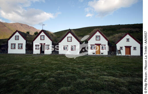La ferme du musée de Laufas en Islande. - © Philip Plisson / Plisson La Trinité / AA09557 - Photo Galleries - Flora