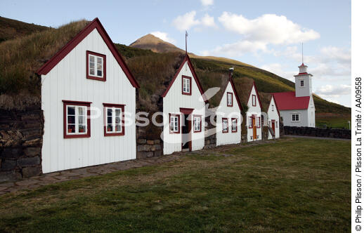 La ferme du musée de Laufas en Islande. - © Philip Plisson / Plisson La Trinité / AA09558 - Photo Galleries - Grass